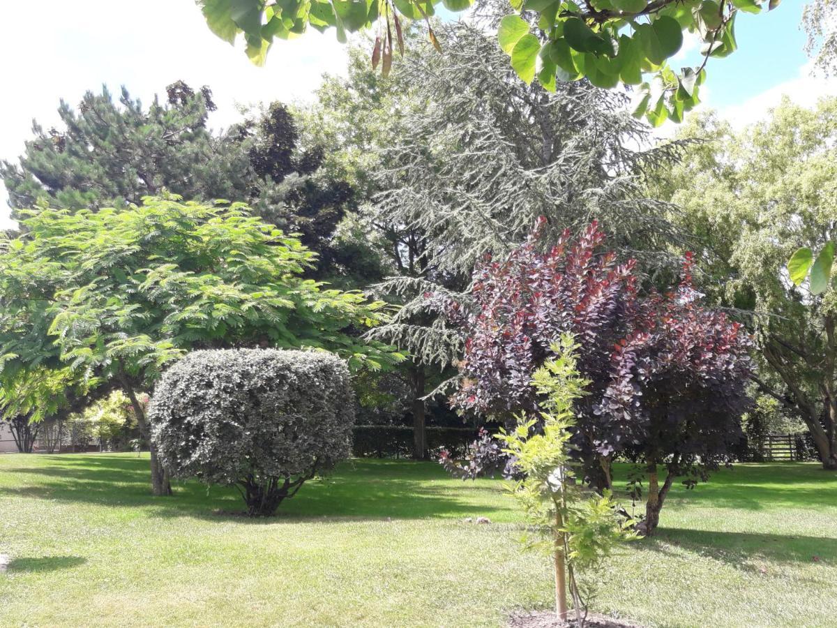 Logis De Lange Studio 2 P Saint-Hilaire-la-Palud Bagian luar foto
