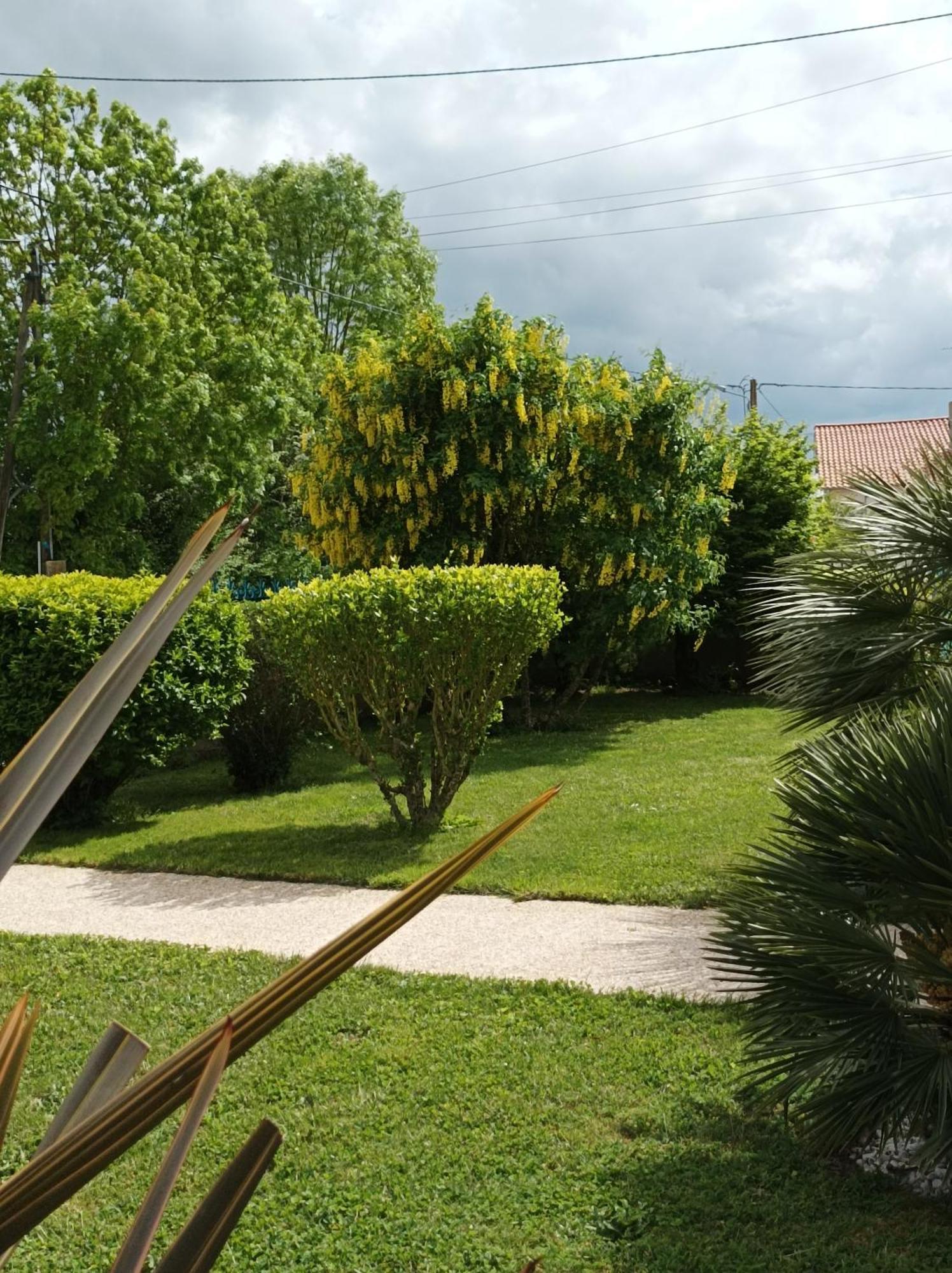 Logis De Lange Studio 2 P Saint-Hilaire-la-Palud Bagian luar foto