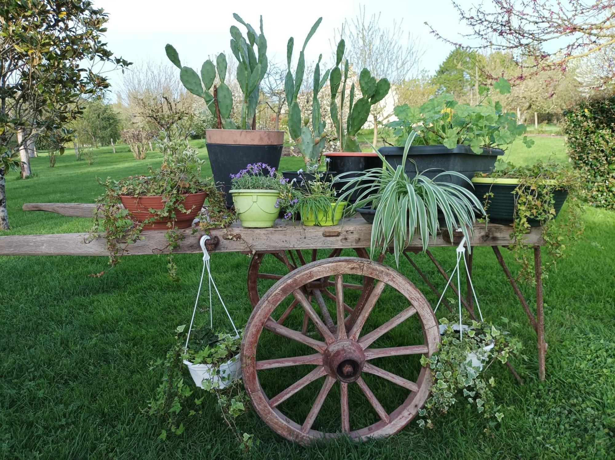 Logis De Lange Studio 2 P Saint-Hilaire-la-Palud Bagian luar foto